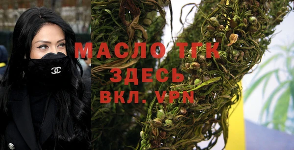 крисы Мегион